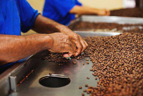 On the Job Hazards: Are Coffee Workers Being Exposed to Hidden Dangers? Wisconsin injury attorney, Wisconsin accident lawyer, Wisconsin workers injury attorney