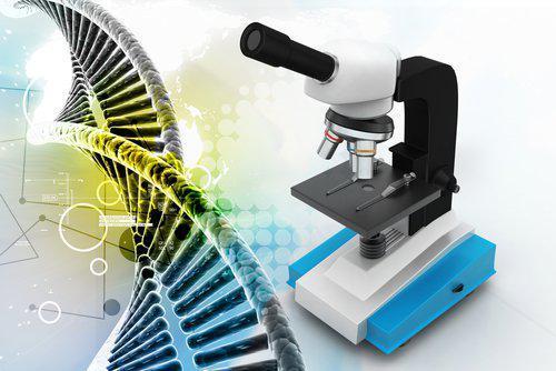 New Study Could Change How Touch DNA Is Used in Criminal Cases Wisconsin defense attorney, Wisconsin criminal lawyer, defendant rights
